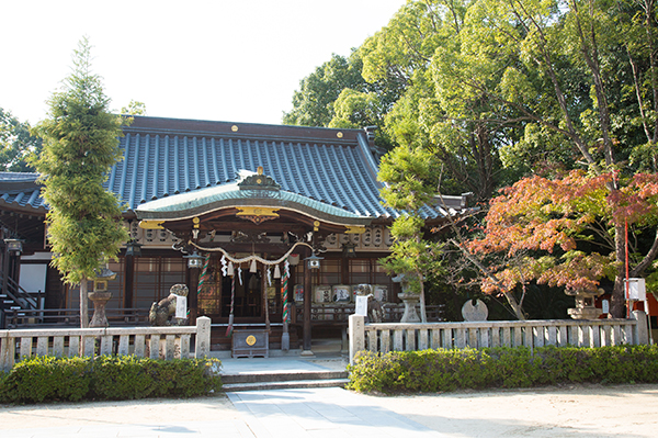 稍作移步後可看到的寶塚神社。