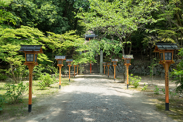 卖布神社建于森林之中。