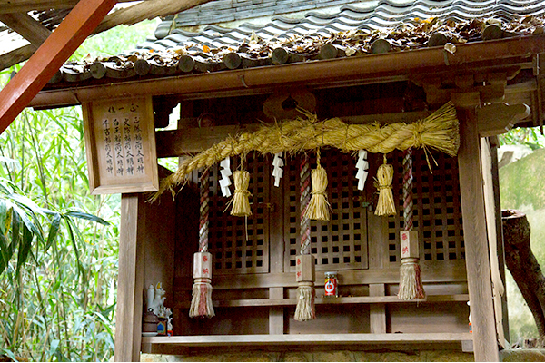 Neko-jinja (Senkichi Inari)