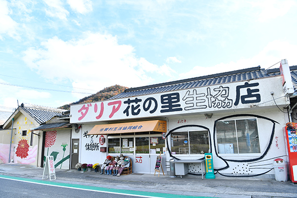 The Sasori Co-op Store is decorated with colorful wall paintings