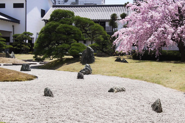 이타미고초관 안의 일본 정원. 봄에는 사앵(가지가 늘어진 벚나무)을 즐길 수 있다.