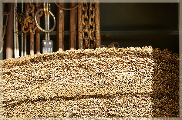 数々のパワーをいただく